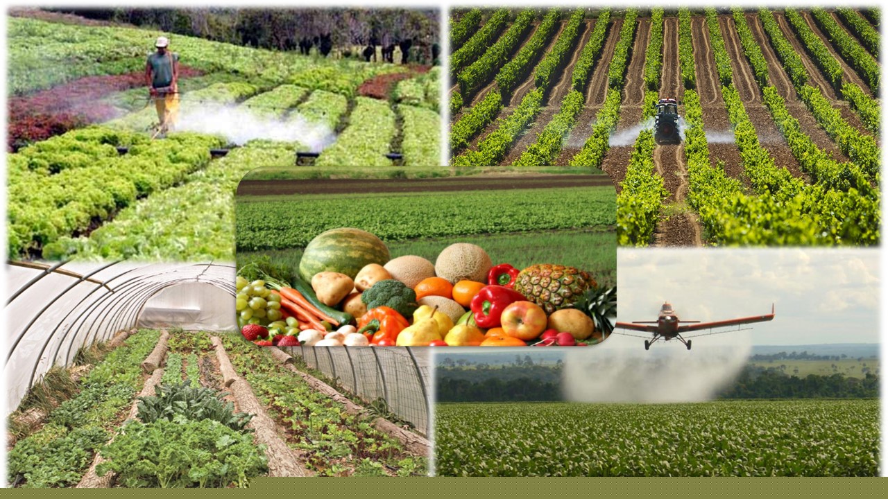  Banner de AlongLife par uso agricola